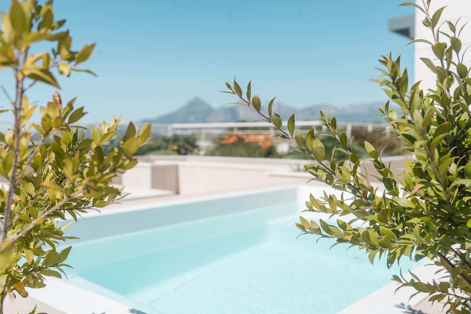A pool and lush greenery framing a view of mountains near a 5-bedroom villa in Altea - The Estates