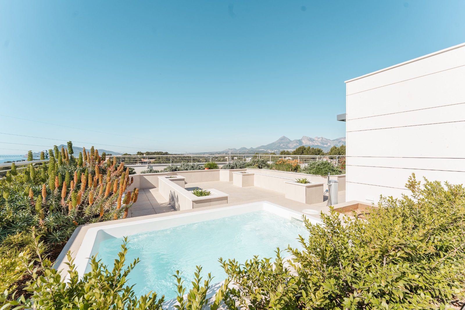 A modern rooftop terrace with a plunge pool and lush greenery overlooking the sea - The Estates