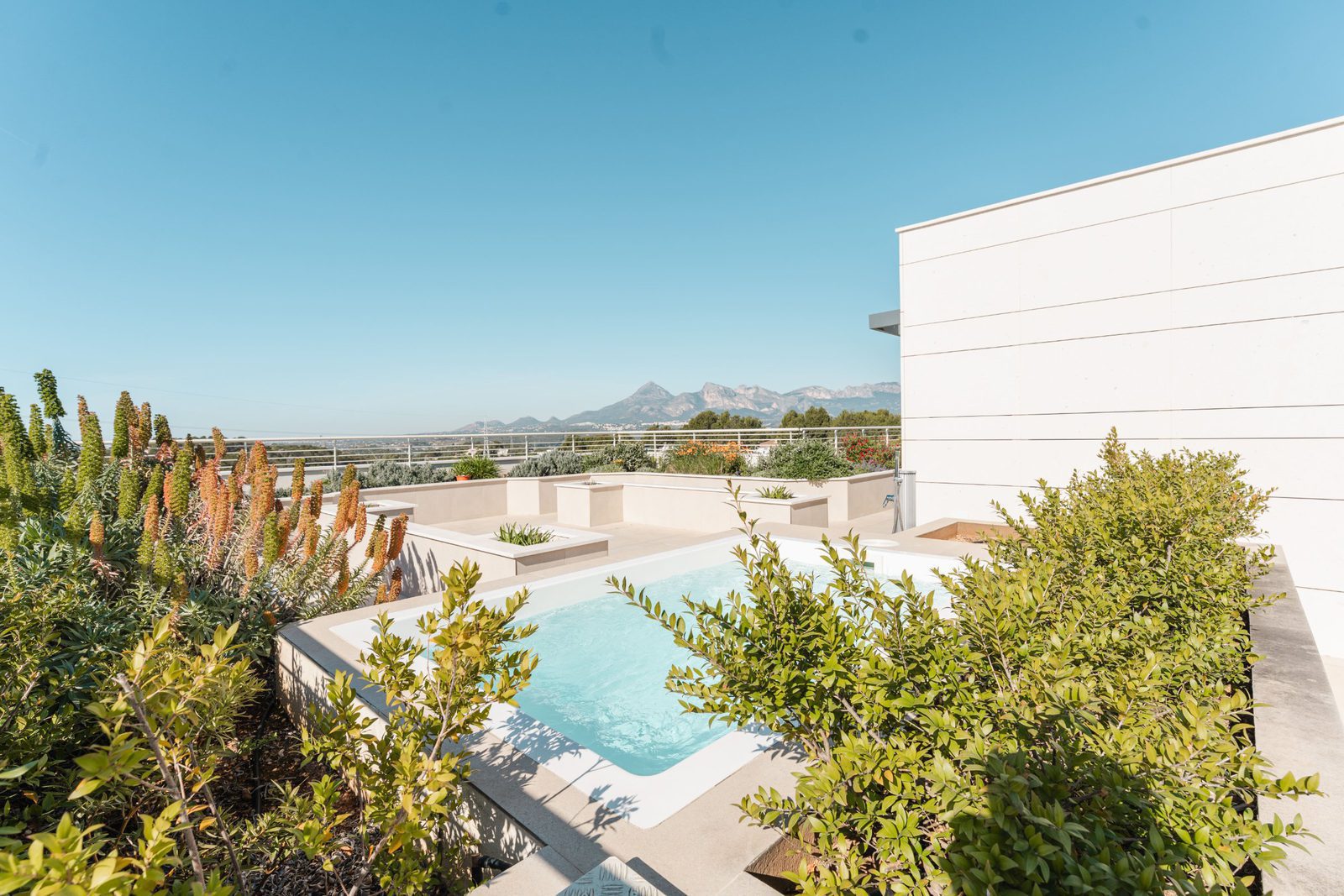 A modern rooftop plunge pool and lush greenery on a 5-bedroom villa in Altea - The Estates