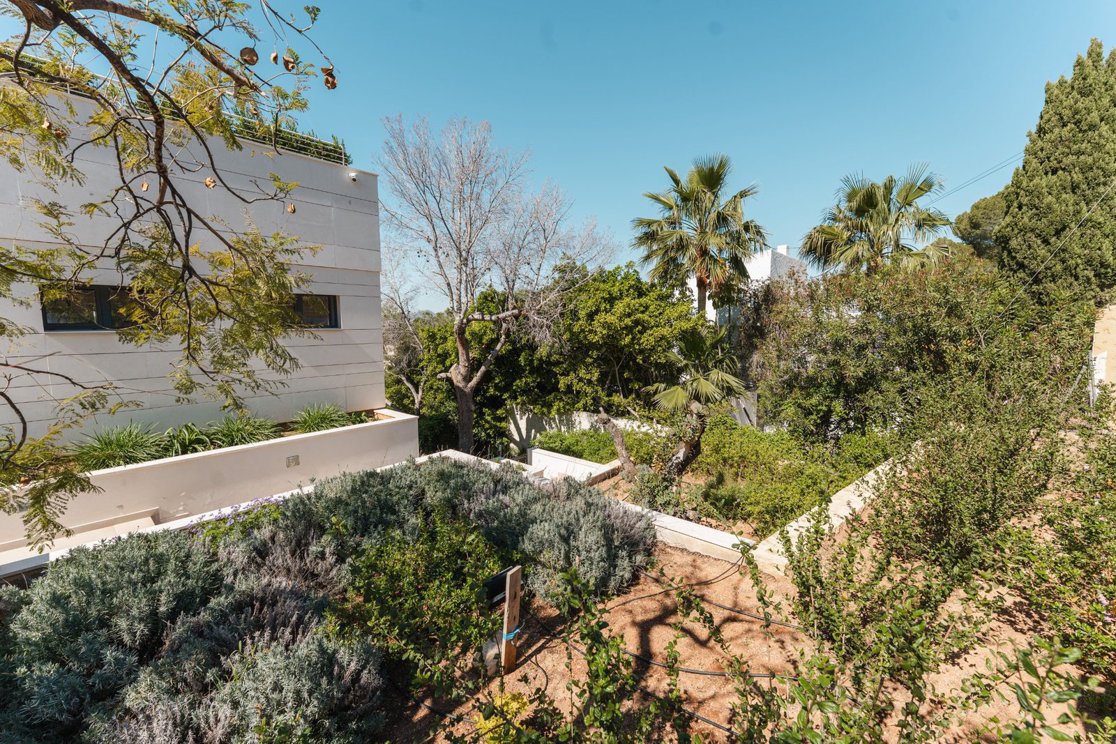 Lush garden and villa exterior with palm trees in Altea - The Estates