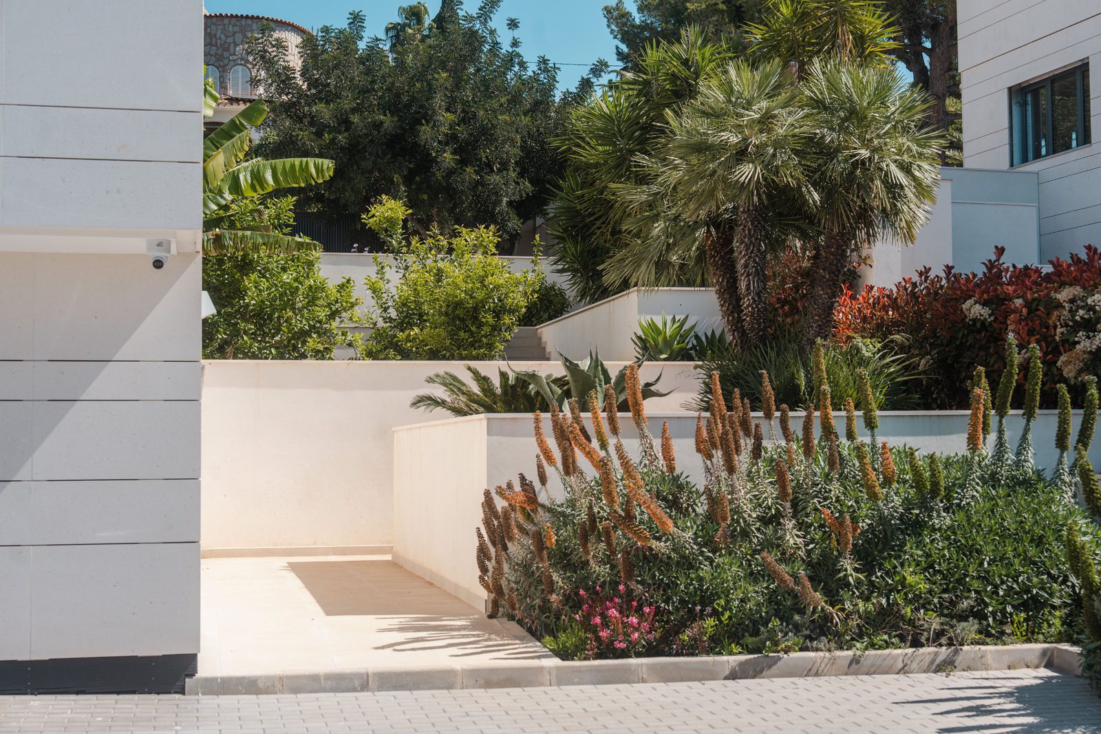 Lush tropical garden surrounding a modern villa in Altea - The Estates