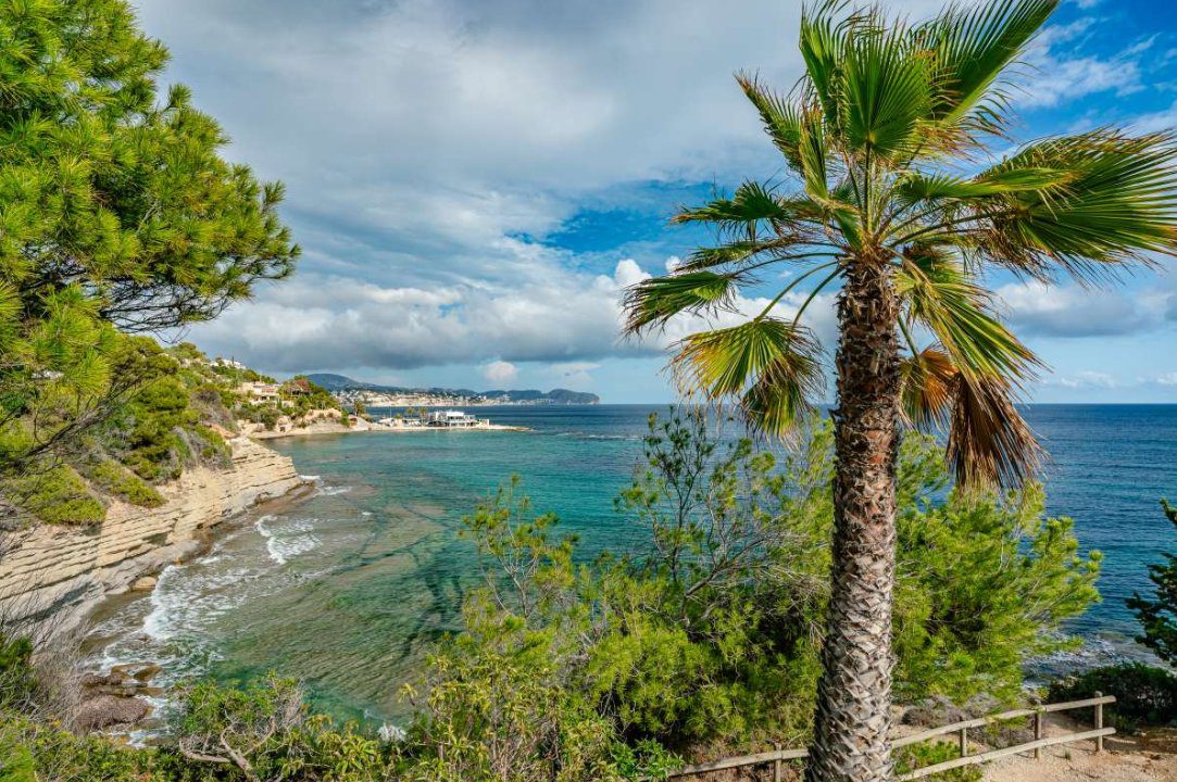 Panoramic sea view with palm trees and coastline of a 6-bedroom villa in Calpe - The Estates
