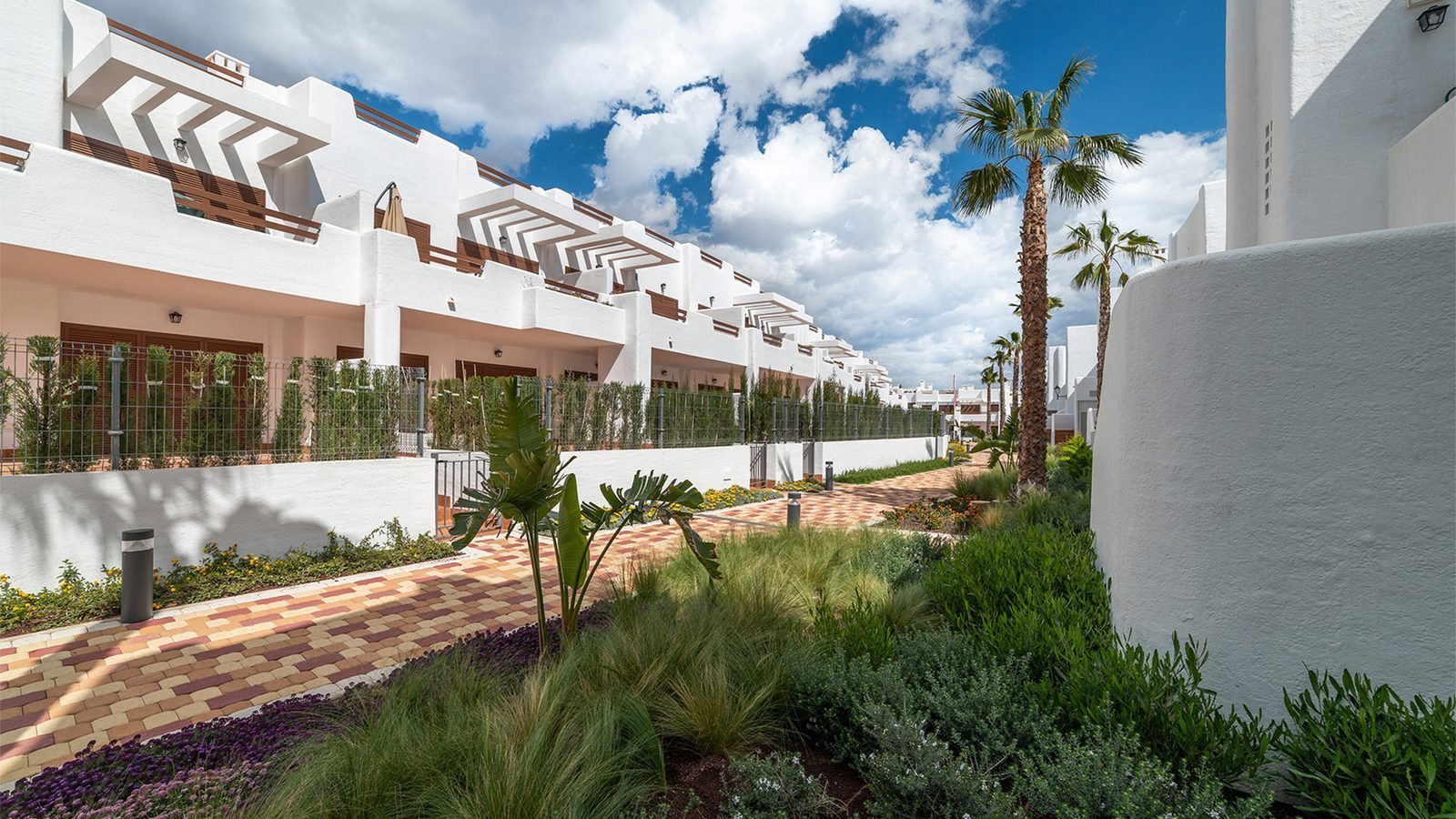 Landscaped walkway with palm trees and white bungalow buildings in Pulpí - The Estates