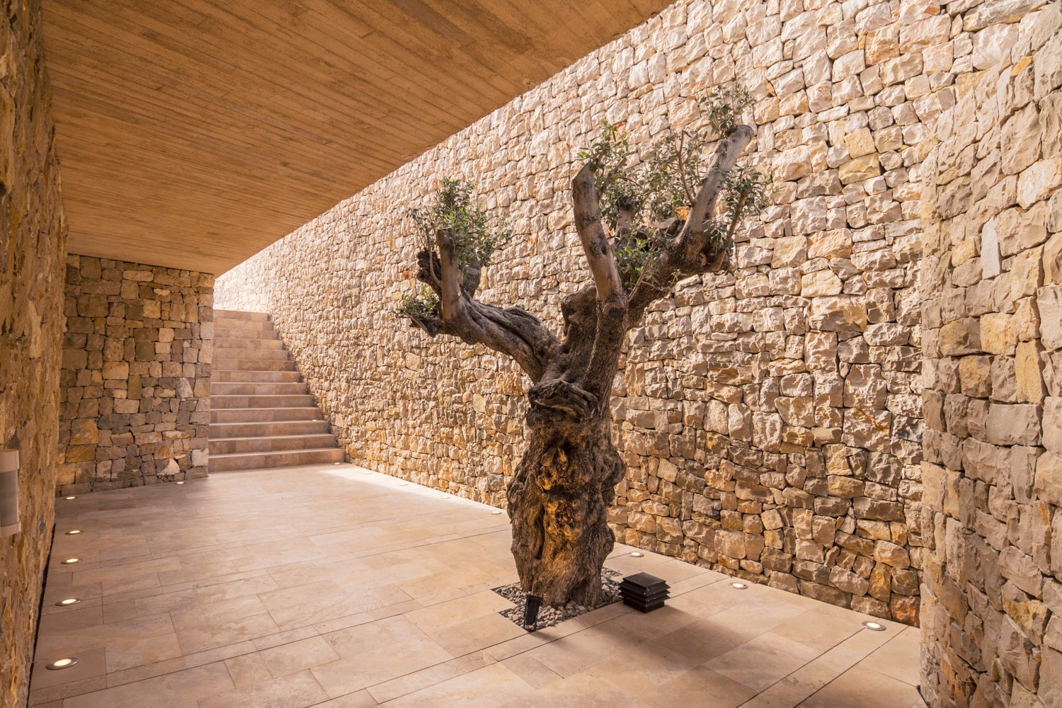 Stone courtyard with an olive tree, rustic walls and tiled steps at a 4-bedroom villa in Benissa - The Estates