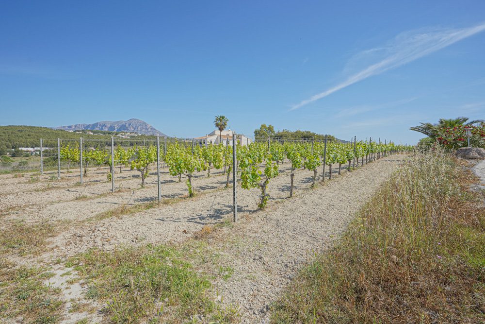 Vineyard views surrounding a 3-bedroom finca in Benitachell - The Estates