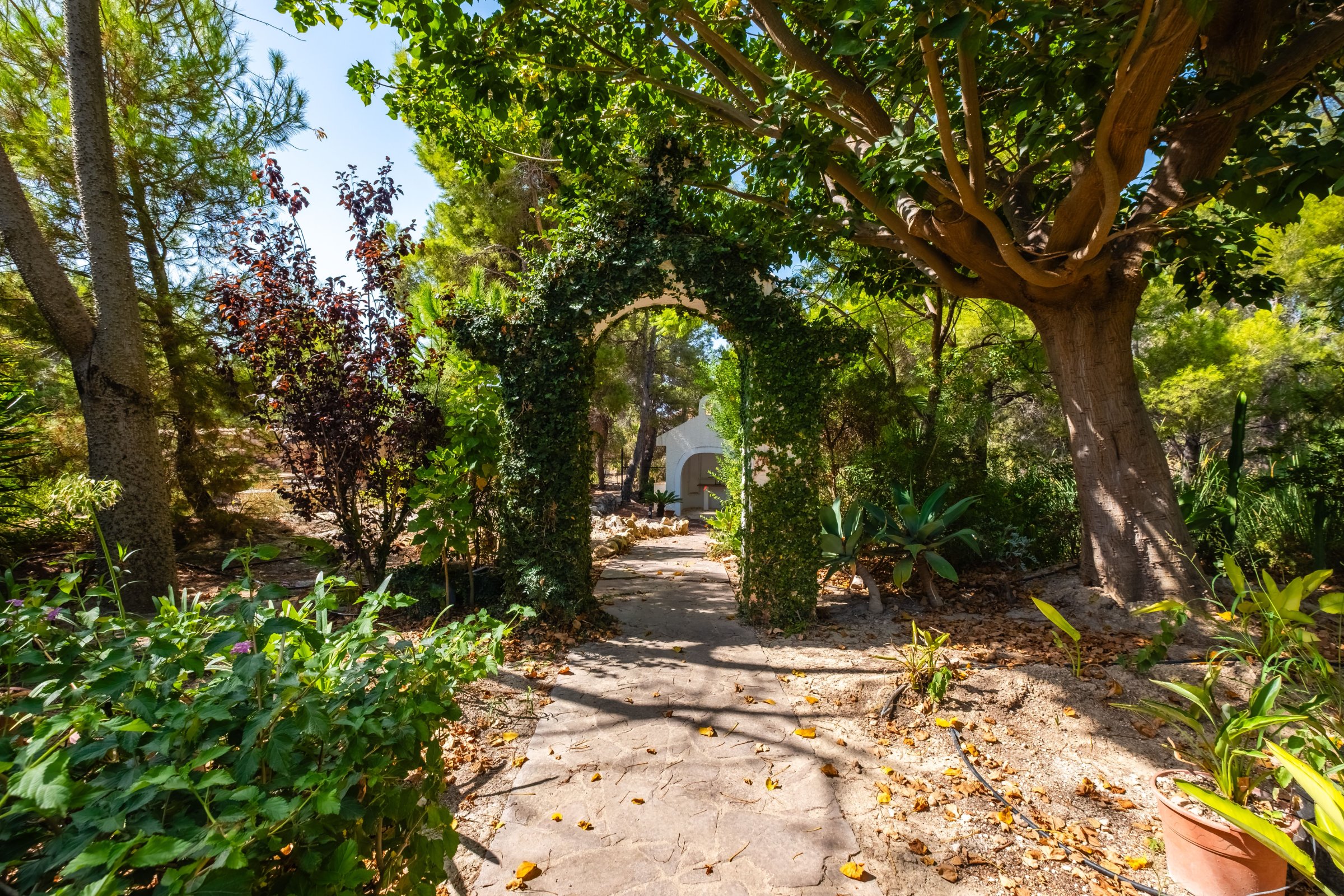 6-bed Villa in Altea — Investment Villa in Altea with 5,753 m² Private Plot | Villa Romero, photo 42