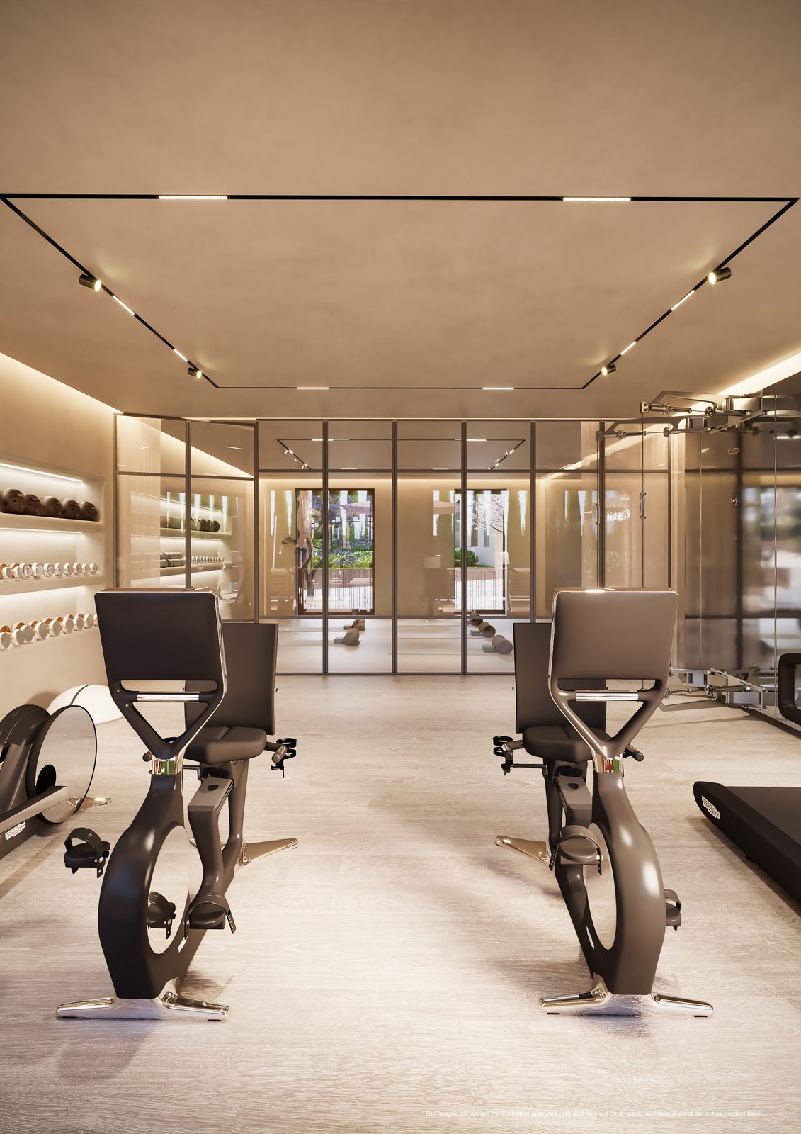 Modern home gym