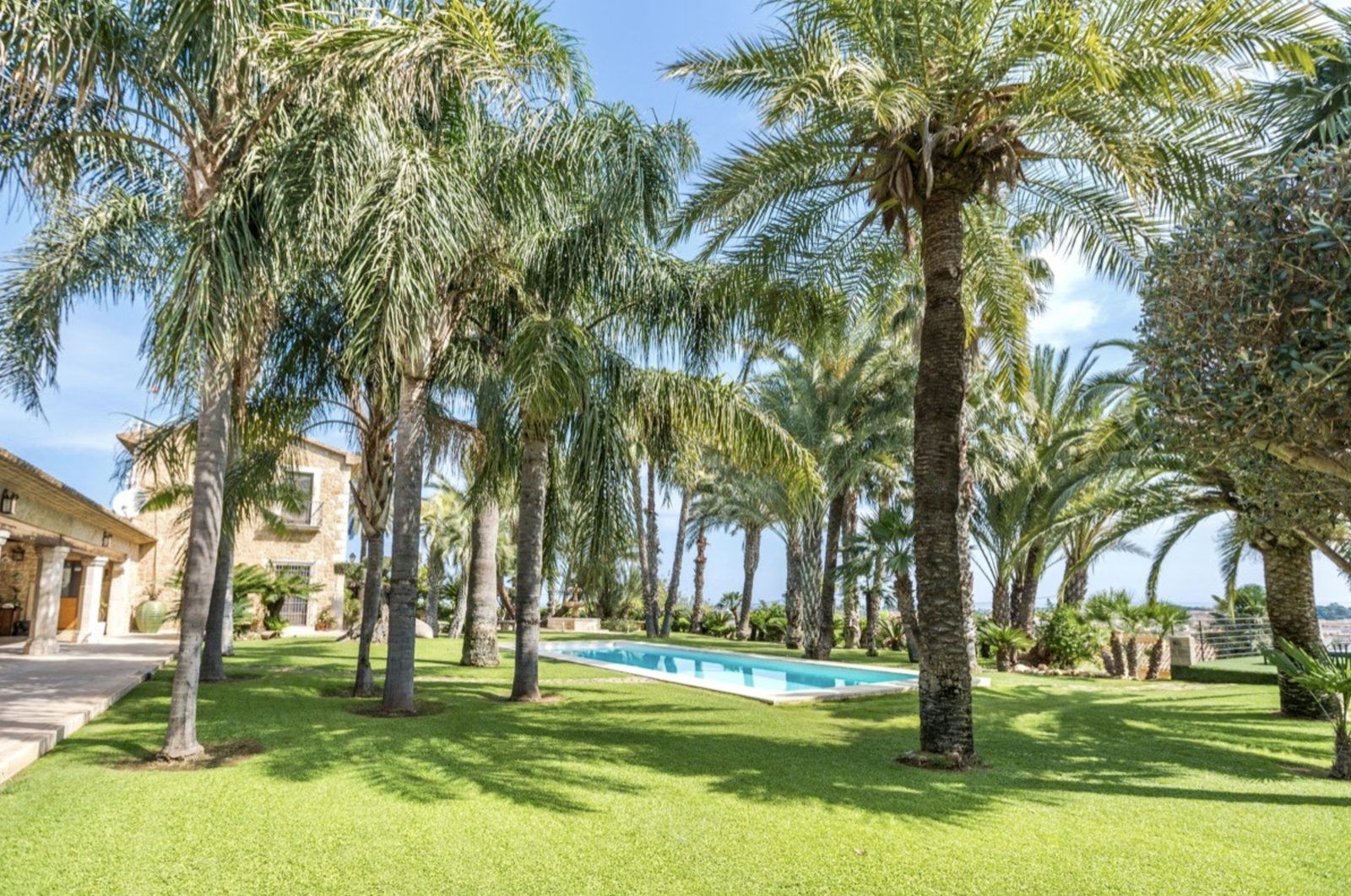 Lush palm trees and a swimming pool in the garden of a 7-bedroom finca in Denia - The Estates