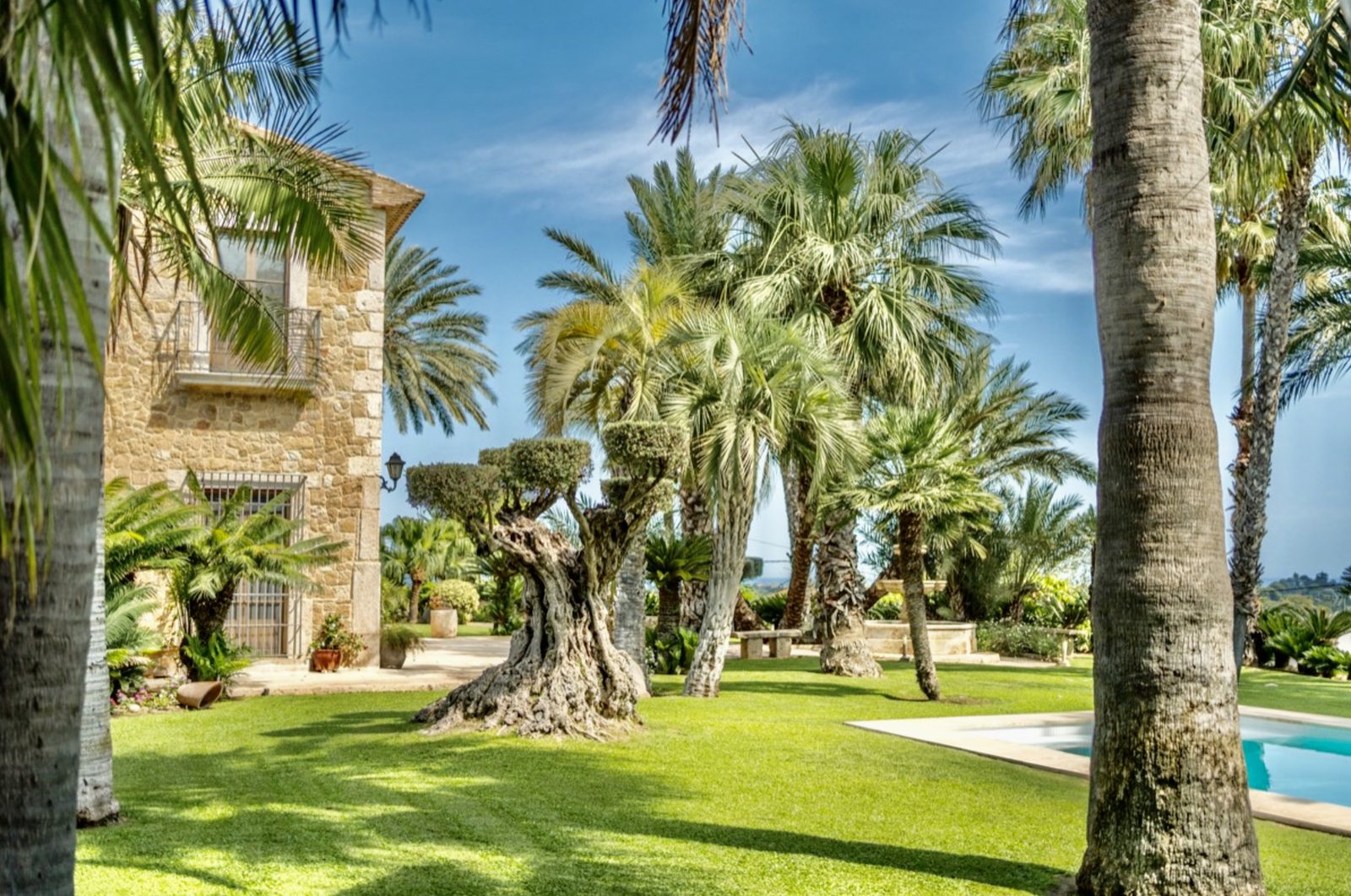 Lush garden and palm trees surrounding a stone finca in Denia - The Estates