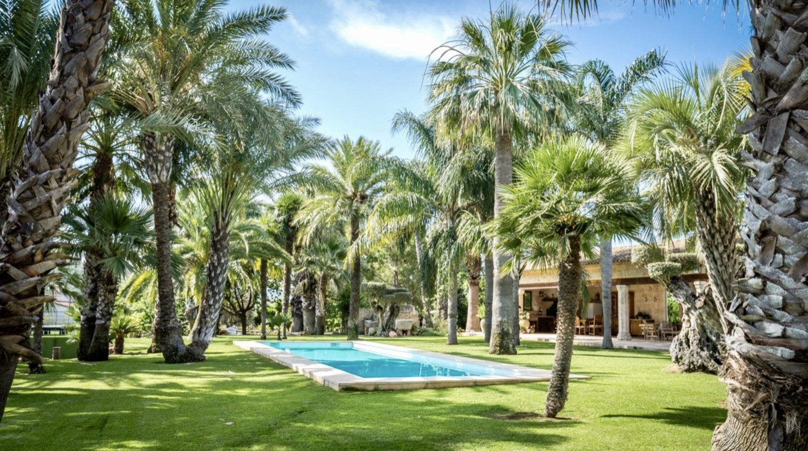 A lush garden with a swimming pool and a finca in the background - The Estates