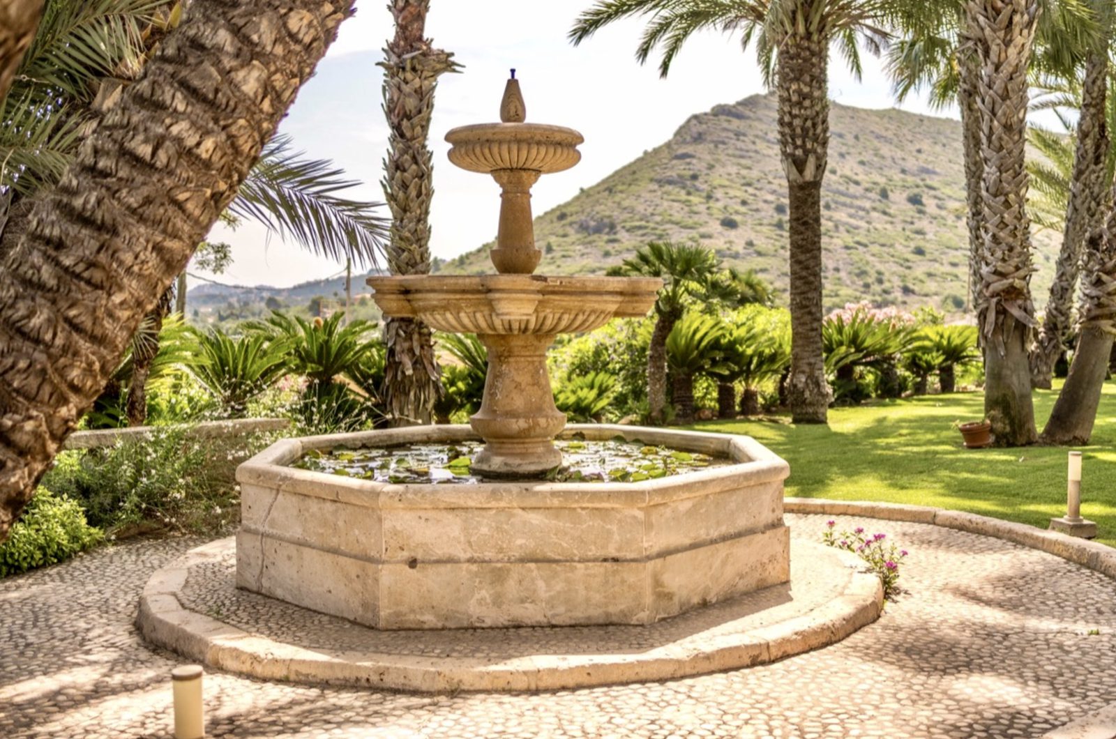 A beautiful stone fountain in the garden of a 7-bedroom finca in Denia - The Estates