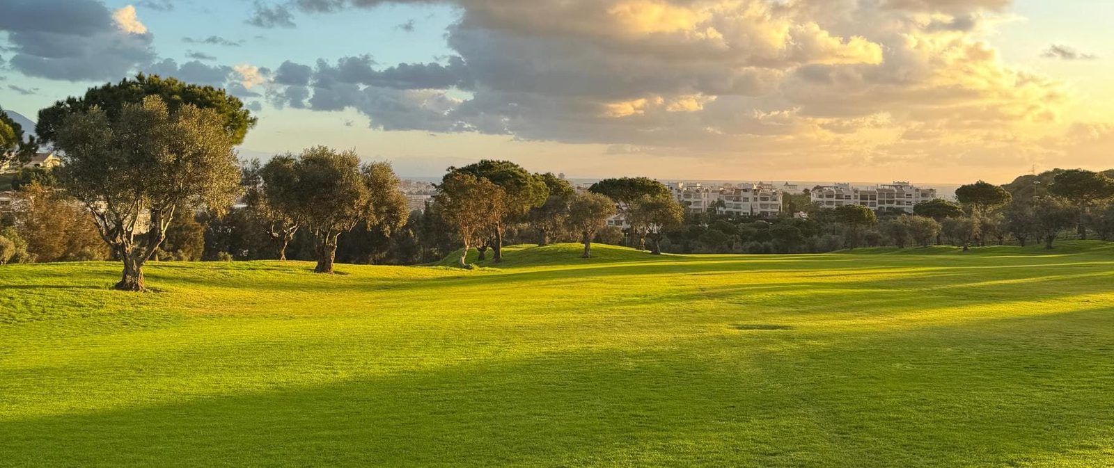 Sunlit golf course with olive trees and distant apartments of a 2-bedroom apartment in Las Lagunas de Mijas - The Estates