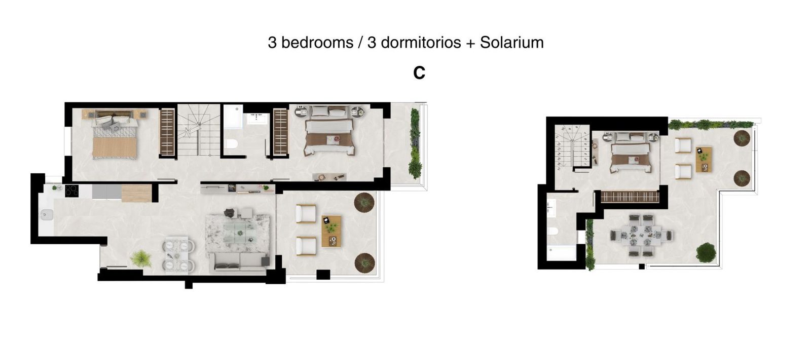 Floor plan showing bedrooms, kitchen, living areas and solarium in a 2