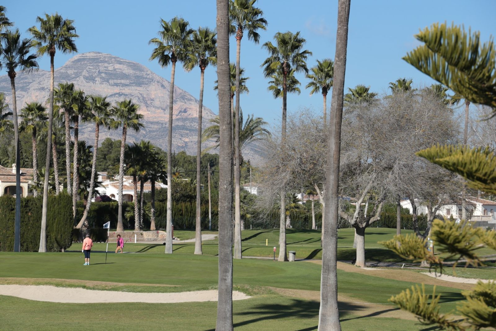 Palm-lined golf course and mountain views near a 4-bedroom villa in Jávea - The Estates