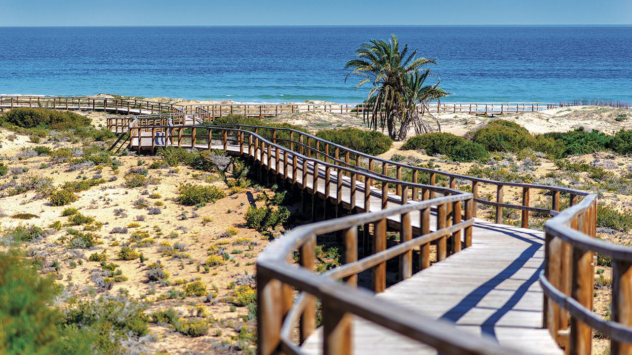 Coastal views near a 2-bedroom apartment in Alicante - The Estates