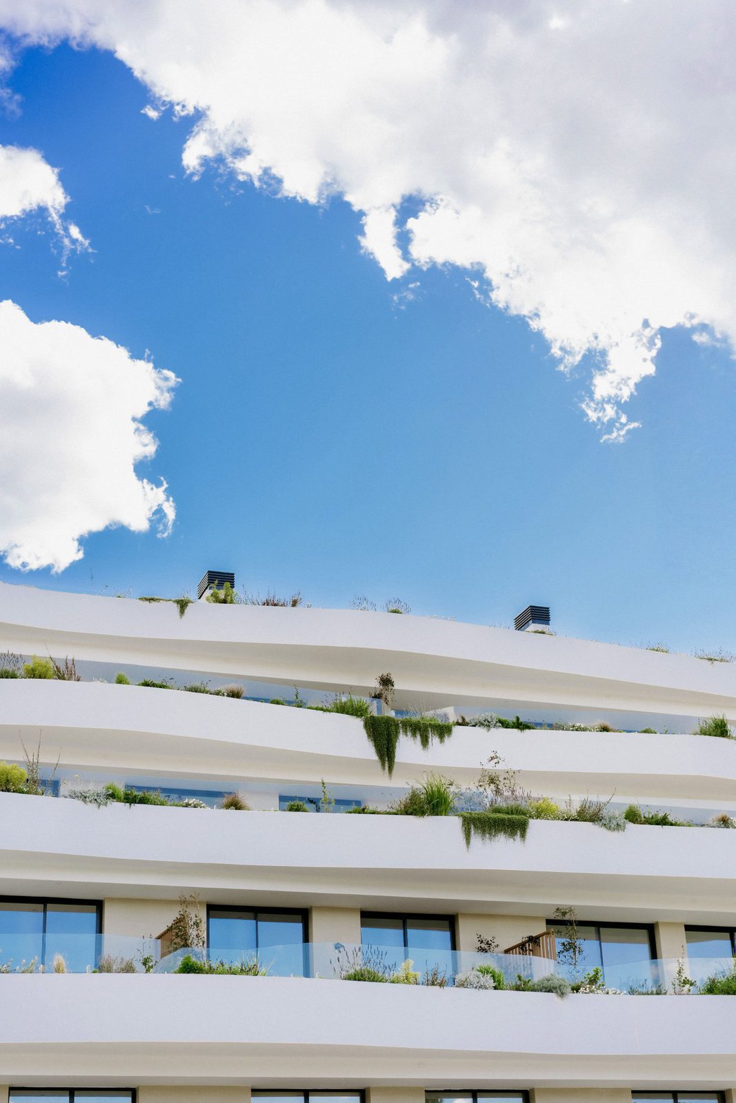 Modern apartment rooftop with greenery and a bright blue sky - The Estates