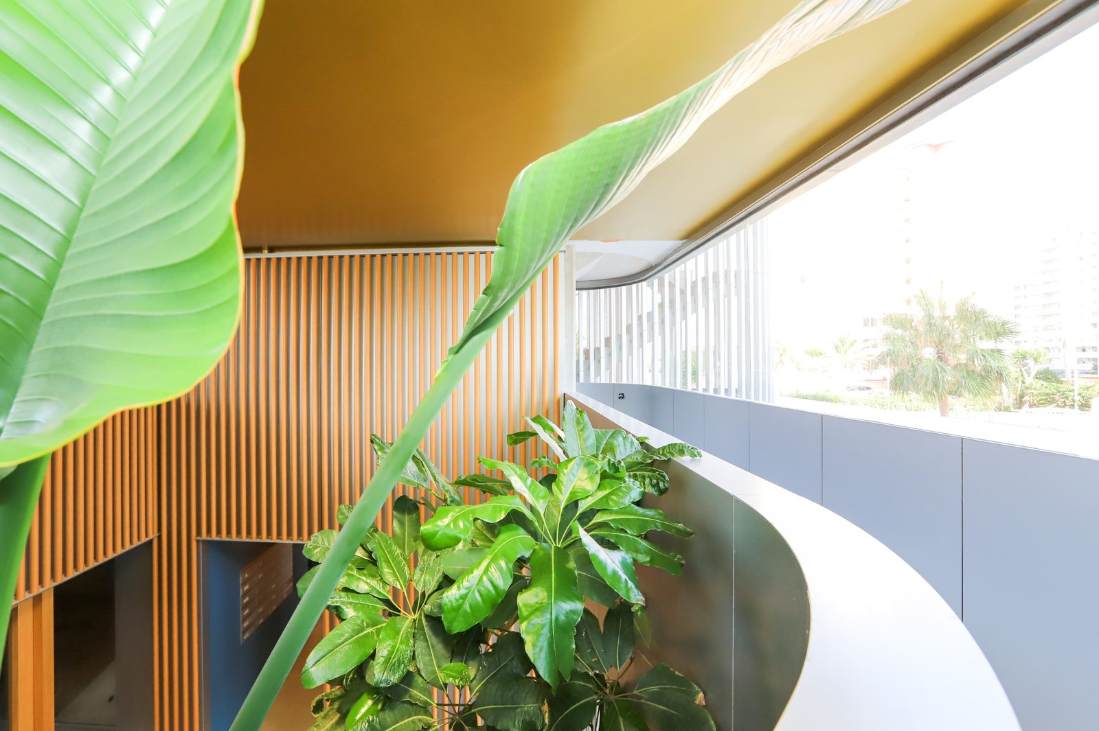 Lush greenery and a balcony view from a 4-bedroom apartment in Calpe - The Estates
