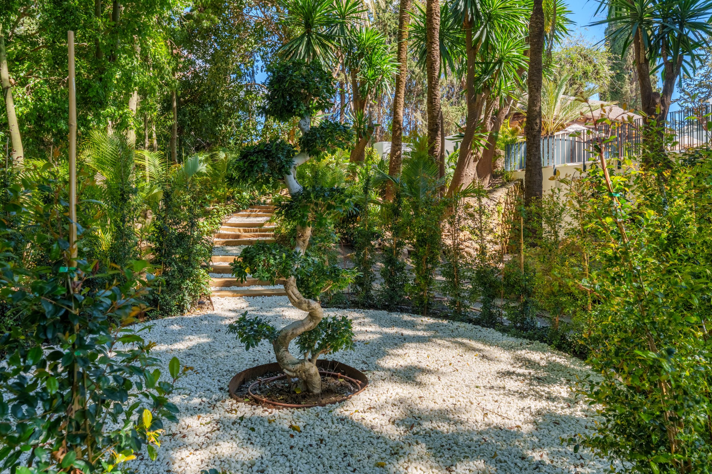 5-bed Villa in Málaga — Luxury Villa in Nueva Andalucía, Marbella | Villa Palmera, photo 61