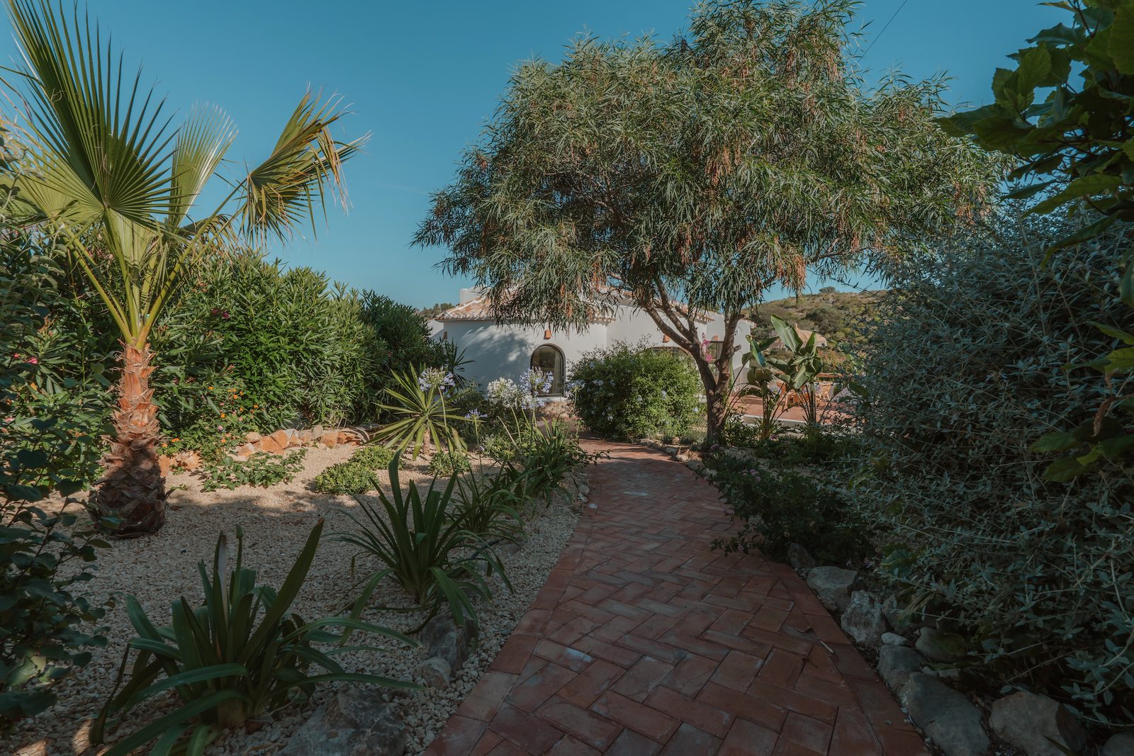 A pathway through lush gardens surrounding a 4-bedroom villa in Javea - The Estates