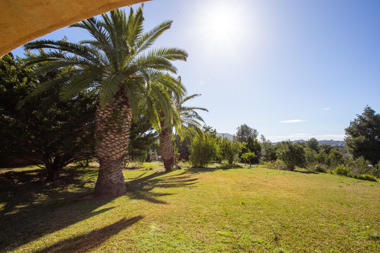 Lush garden and palm trees with countryside views of a 4-bedroom villa in Javea - The Estates