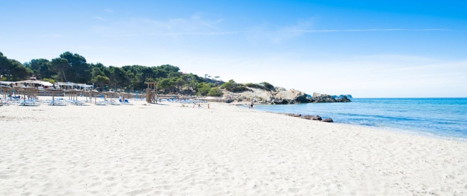White sandy beach with sun loungers, pine trees and turquoise sea in Calvia - The Estates