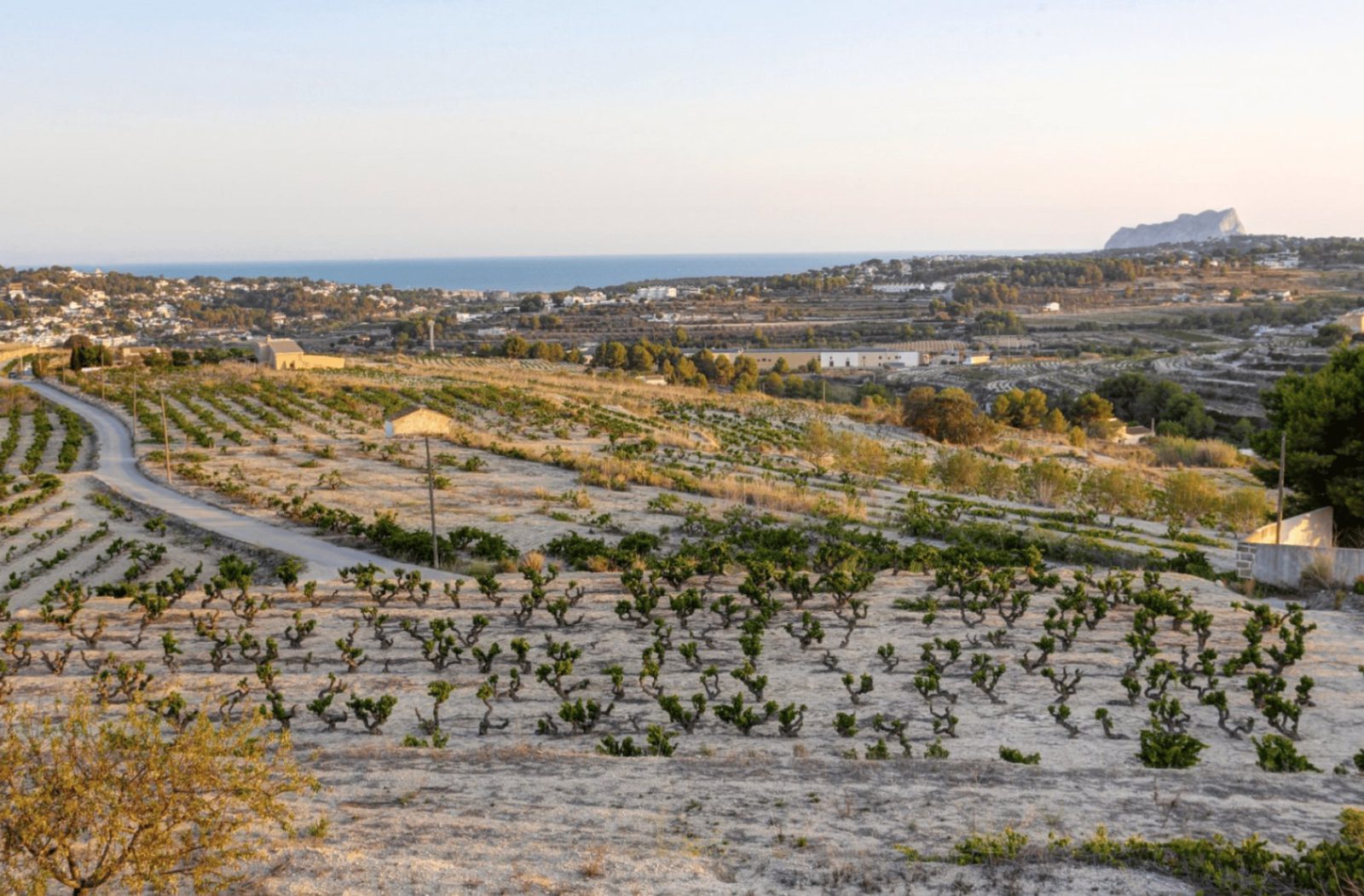 Scenic countryside and sea views surrounding a 4-bedroom finca in Moraira - The Estates