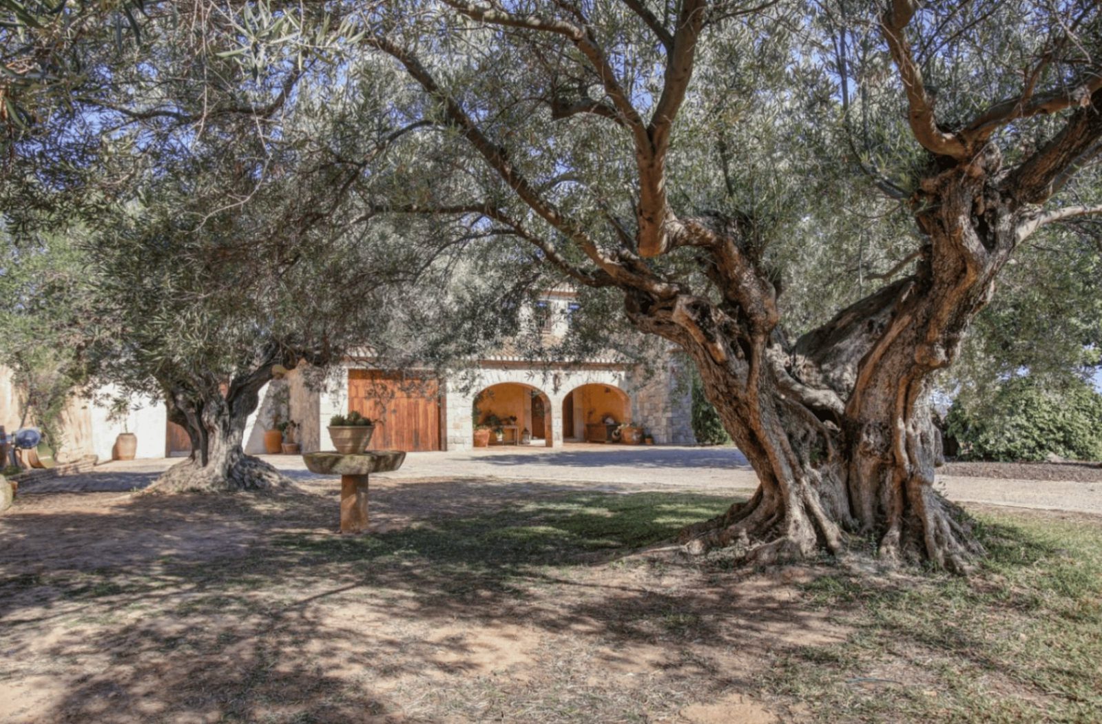 Mature olive trees frame a beautiful finca in Moraira - The Estates