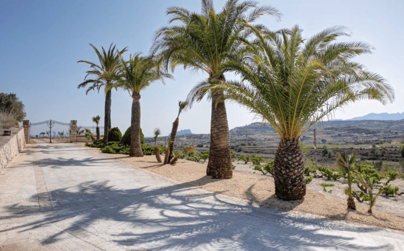 Palm trees and a driveway with sea and countryside views of a 4-bedroom finca in Moraira - The Estates