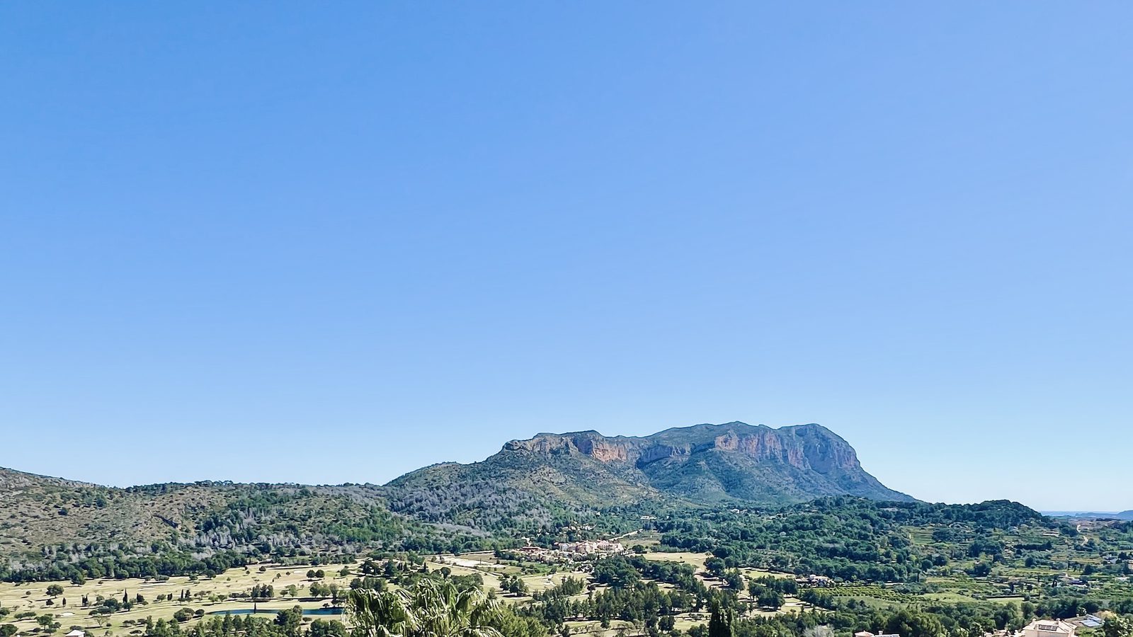 Pedreguer region