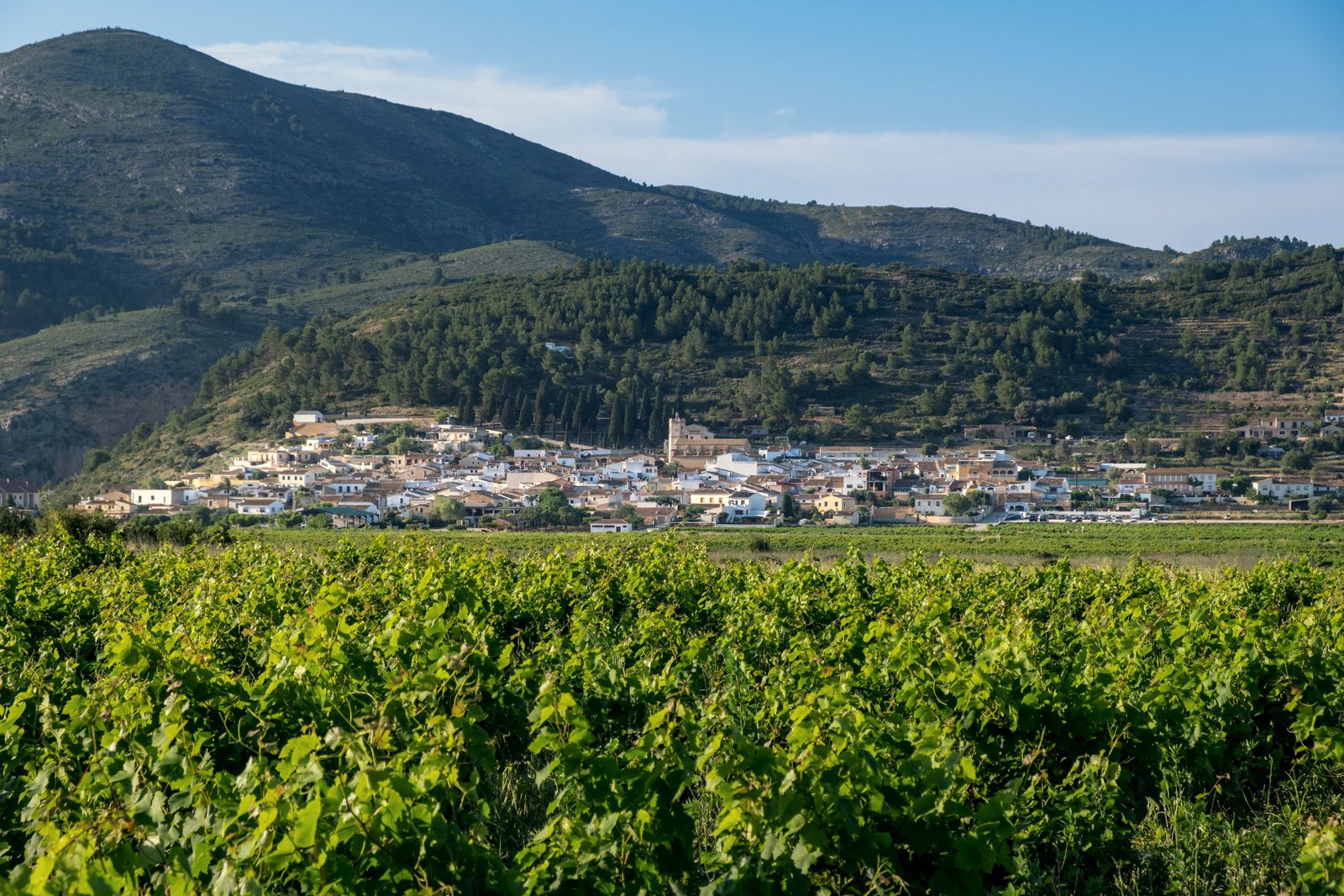Lliber region