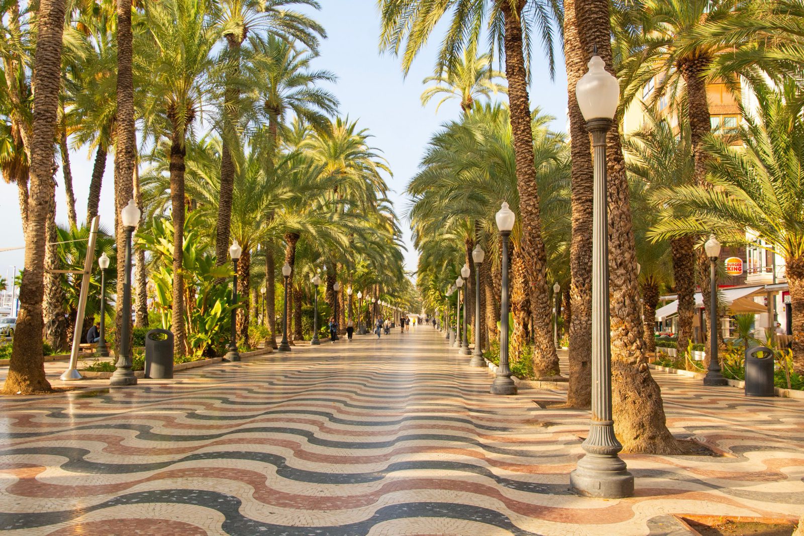 Alicante region