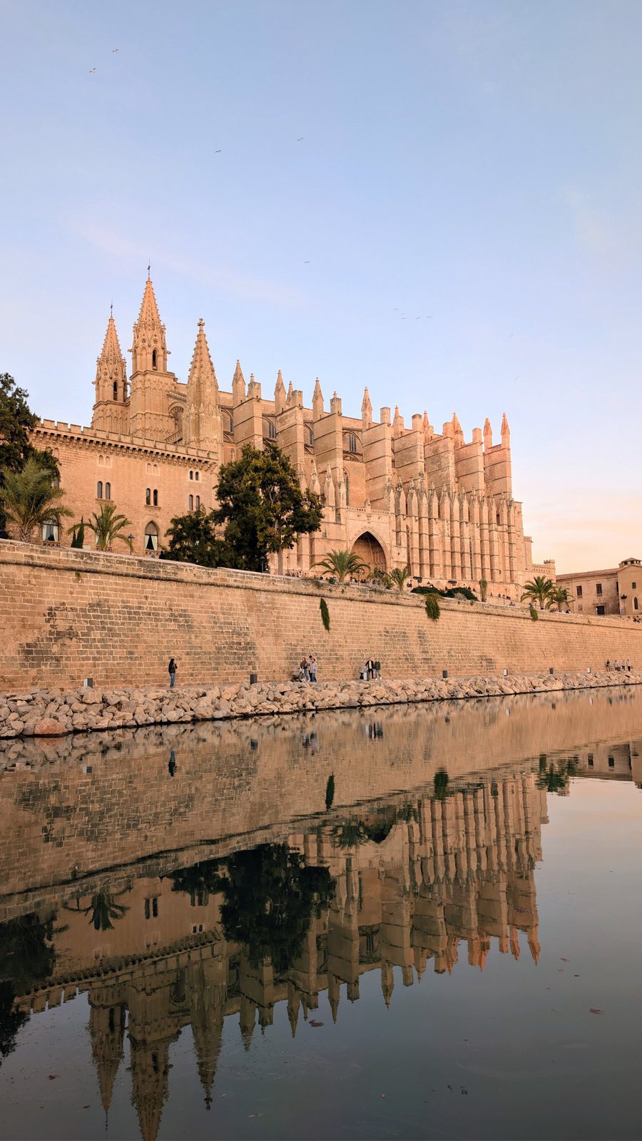Gothic cathedral reflected in a tranquil waterfront beside historic walls in Mallorca - The Estates