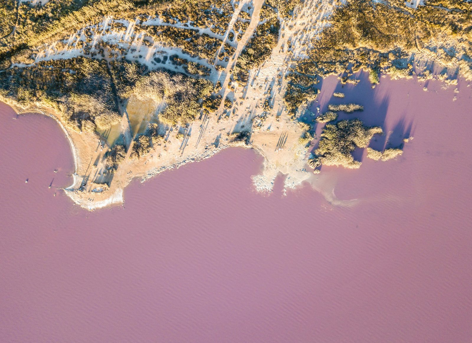 Torrevieja region